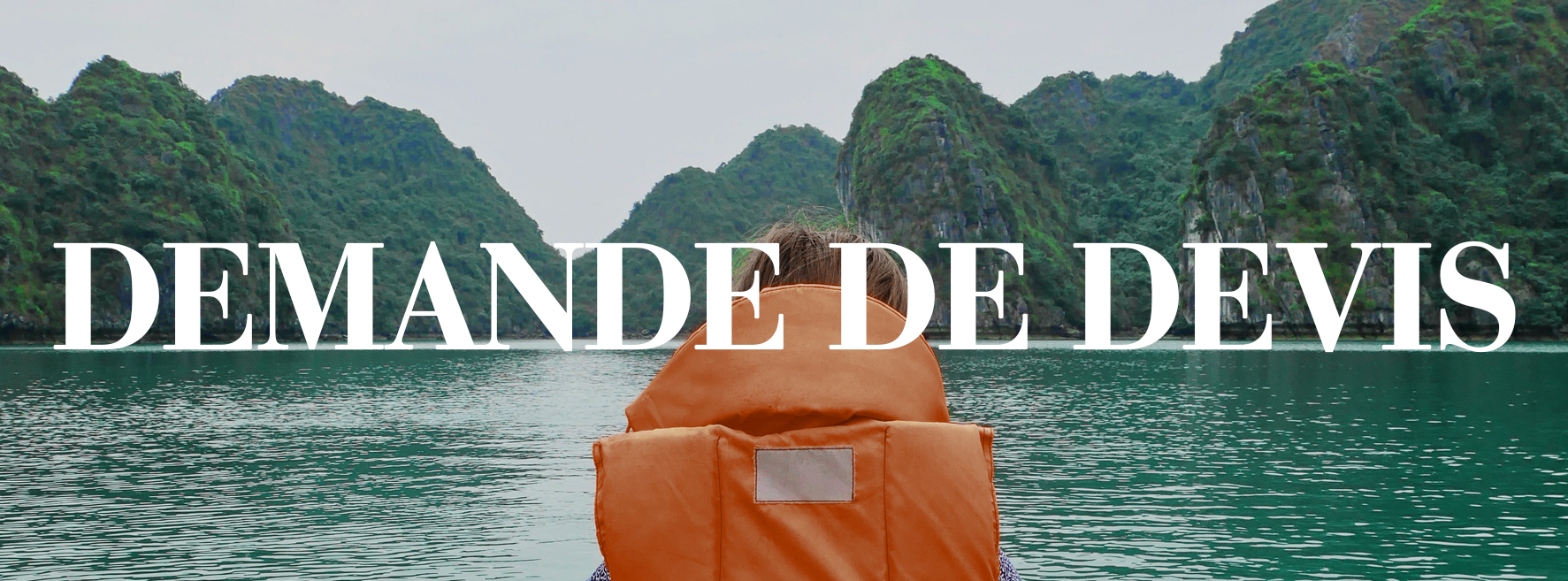 titre_demande_devis