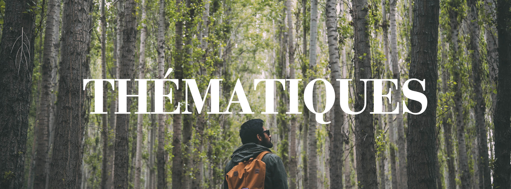 titre_thematiques